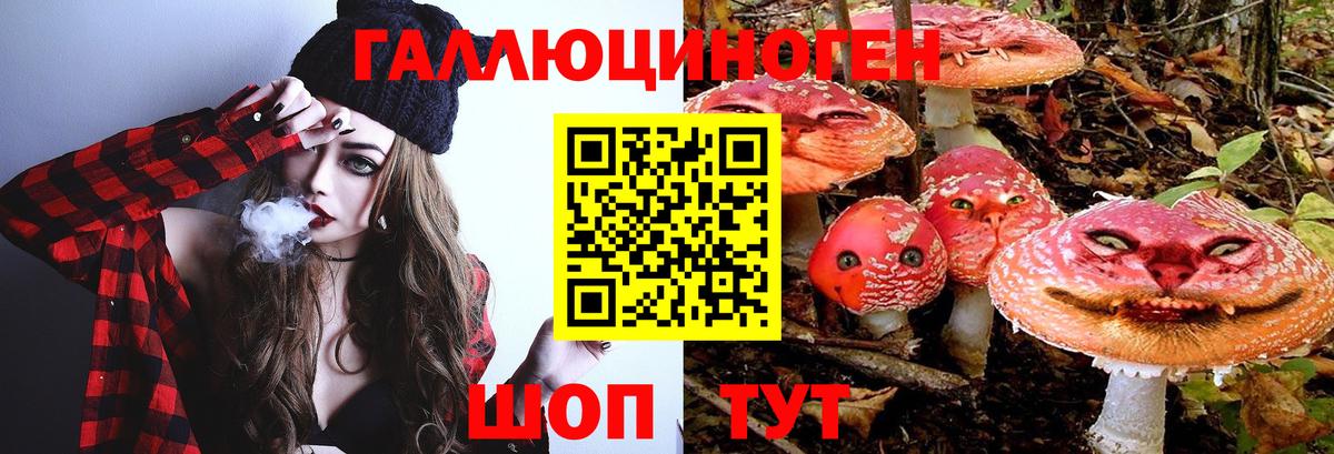 Галлюциногенные грибы MAGIC MUSHROOMS  Вход с VPN  Псилоцибиновые грибы мухоморы  Зеленокумск 